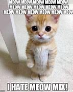 Image result for Meow Funny Cat Meme