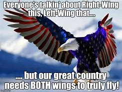 Image result for Patriotic Eagle Meme