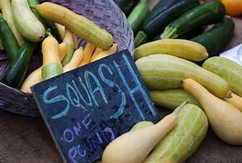 Image result for Mexican Squash Plant