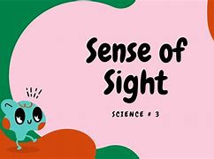 Image result for Five Senses Eyes