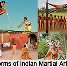 Image result for Marshal Arts Indian