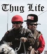 Image result for Thug Life Horse