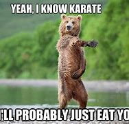 Image result for Karate Cat Meme