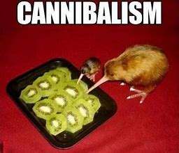 Image result for Kiwi Glowing Meme