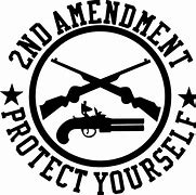 Image result for 2nd Amendment Stickers and Decals