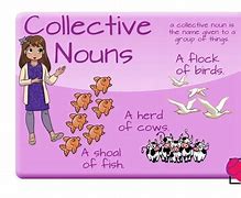 Image result for Nouns Cover Page