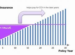 Image result for Whole Life Insurance Cash Value