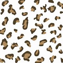 Image result for Leopard Spot Pattern