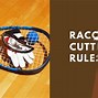 Image result for Racquetball Play
