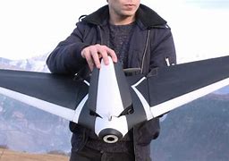Image result for Parrot Disco FPV Drone