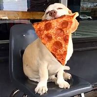 Image result for Pizza Cat Coffee Meme