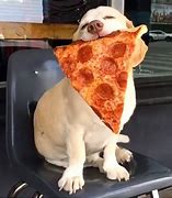 Image result for Management Pizza Party Meme
