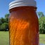 Image result for Wildflower Honey Jar