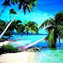 Image result for Tropical Nature Backgrounds