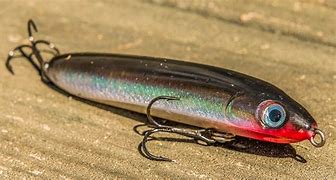 Image result for Rapala Topwater Lures