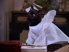 Image result for Salem Cat Guy