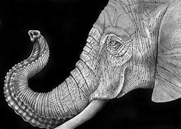 Image result for Realistic Pen and Ink Drawings