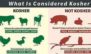 Image result for Kosher Food Chart