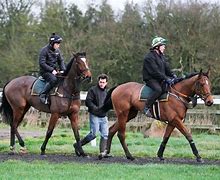 Image result for Race Horse Trainers