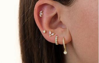 Image result for Opal Helix Earring