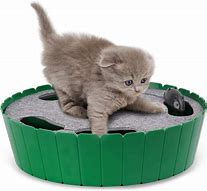 Image result for Cat Toys Product