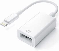 Image result for USB OTG Adapter iPhone Og Apad