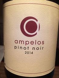 Image result for Ampelos Pinot Noir Sta Rita Hills