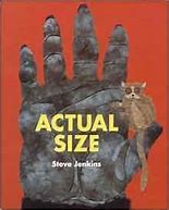 Image result for Actual Size Book Cover