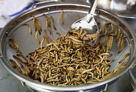 Image result for China Insect Food