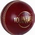 Image result for Cricket Balls Ho Ho Ho