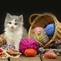 Image result for Kitten Thanksgiving Desktop Wallpaper