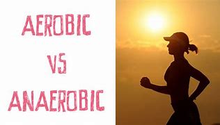 Image result for The Difference Between Exercise and Activity