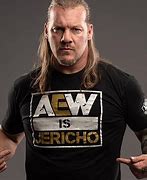 Image result for Chris Jericho Wrestling