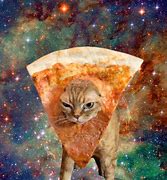 Image result for Ginger Cat Eating Pizza