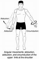 Image result for Locomotion and Movement Diagram