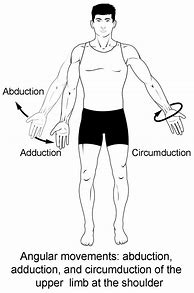 Image result for Body Process