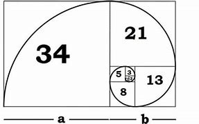 Image result for Perfect Golden Ratio