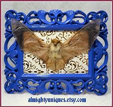 Image result for Painted Wooly Bats