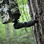 Image result for A Tree Mount for Your Game Camera