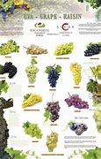 Image result for 6 Grapes Wine