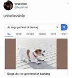 Image result for Lost Dog Meme