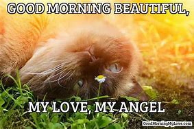 Image result for Good Morning You Are Loved Meme