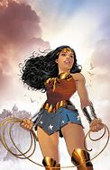 Image result for DC Comics Wonder Woman Case