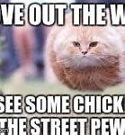 Image result for Flying Cat Ball Meme