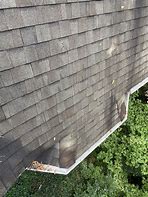 Image result for Bay Window Roof Leak