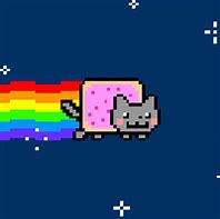 Image result for Flying Cat Meme Rainbow