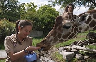 Image result for Zoo Keeper Tour