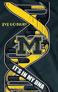 Image result for Michigan Wolverines and Detroit Lions