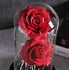 Image result for Galaxy Glass Rose