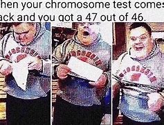 Image result for Chromosome Memes